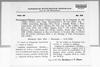 Peronospora polygoni image